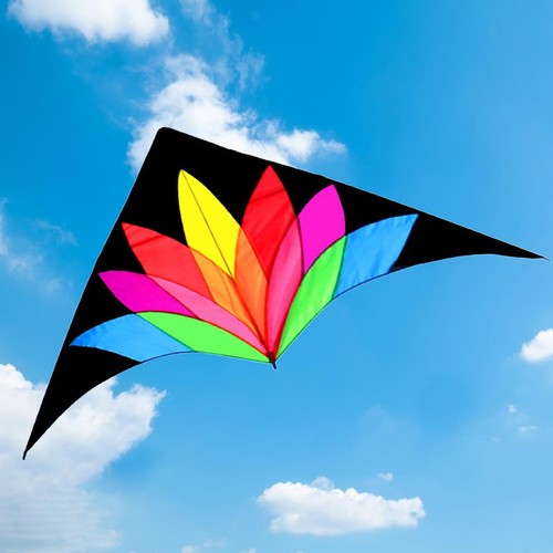 Large delta beach kite - large,