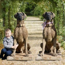 Pair of Life-size Great Dane