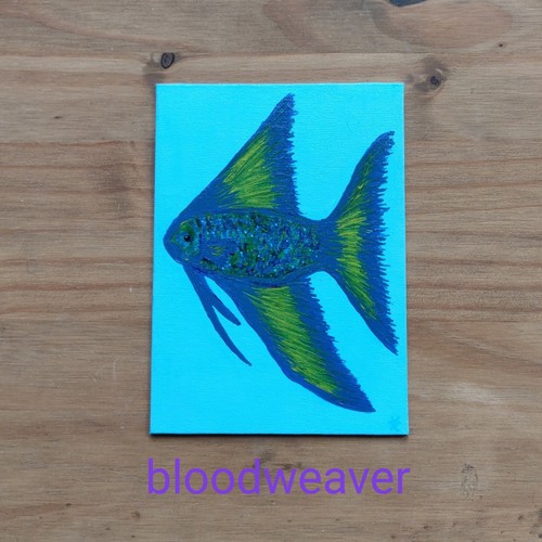 Angel tropical fish - , blue