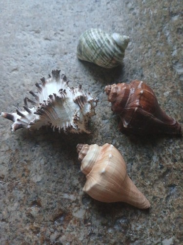 Lot 4 authentic sea - 4,