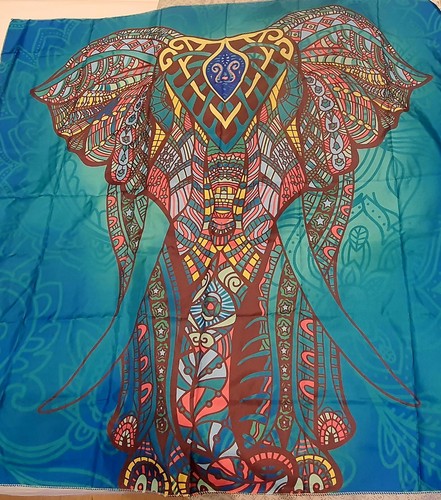 Hippie big elephant - elephant, window