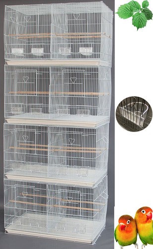 Lot large breeding - of, 4