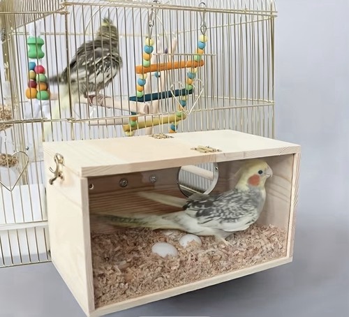 Bird large breeding - breeding, for