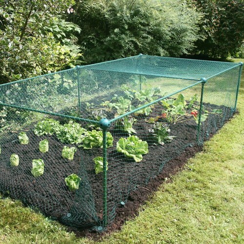 625m high kit garden fruit - 0.625m,