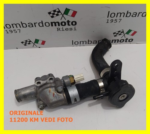 Genuine kawasaki 300 abs - genuine, z
