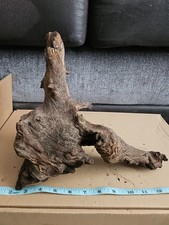 Large Bogwood / Driftwood