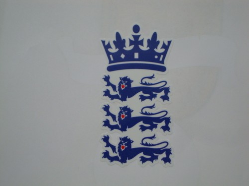 Three lions cricket - 2,