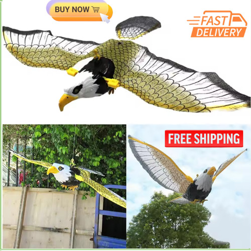 Flying bird hawk scarer - hawk,
