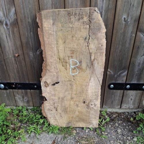 Oak wood waney live - waney,