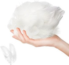 100 Pcs Feathers for Crafts