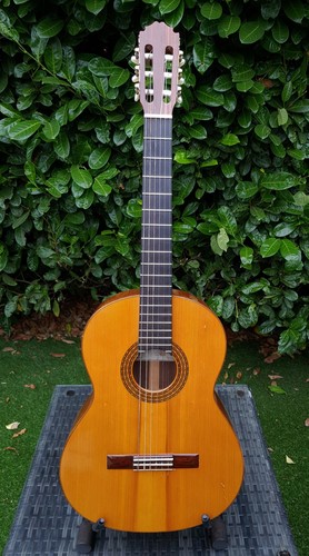 Vicente sanchis mod luthier - mod,