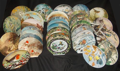 Owl bird theme plates by - bird,