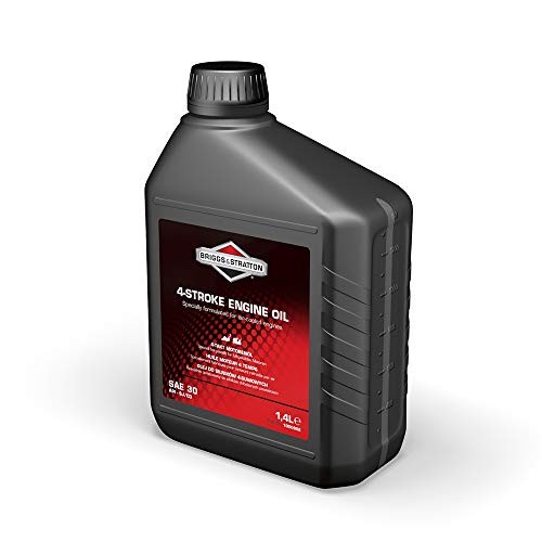 Briggs stratton 100006e - &,