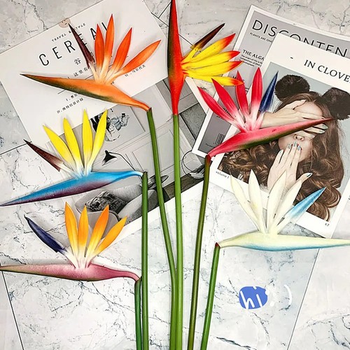 Bird paradise artificial - of,