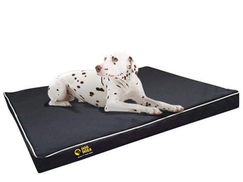 Dog doza snooza crash mat - snooza,
