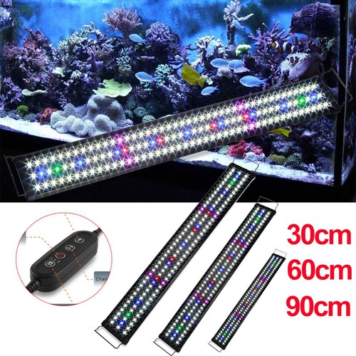 Aquarium fish tank - fish, led