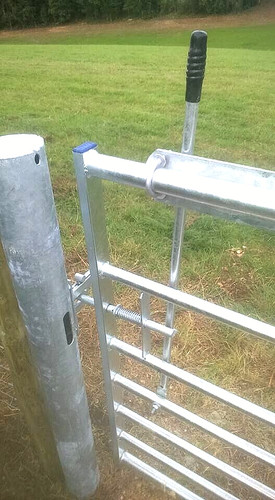Equestrian gate latch - , horse