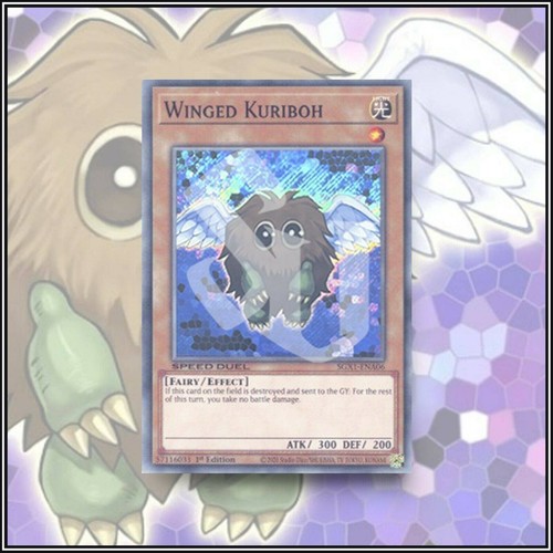 Yugioh winged kuriboh - yugioh,