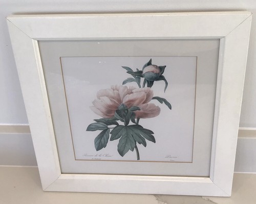 Vintage botanical print - botanical, floral