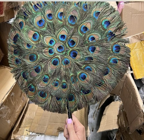 Vintage ostrich peacock - vintage,