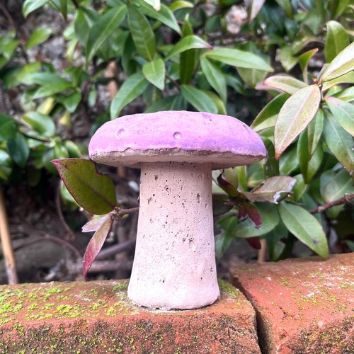 Concrete toadstool mushroom - toadstool,
