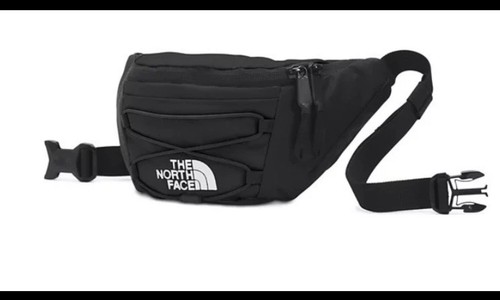 The north face jester - north,