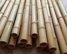 2ft-6ft Large Bamboo Canes Strong Thick Pole Garden Canes Plants Supports
