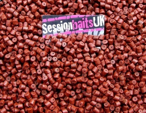 Bloodworm pre drilled halibut - pre-drilled,