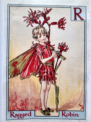 Ragged robin alphabet - r-,