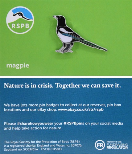 Rspb pin badge niic magpie - pin,