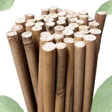 Bamboo Canes Garden Plant Stick Flower Support Thick Stake Natural Strong Cane