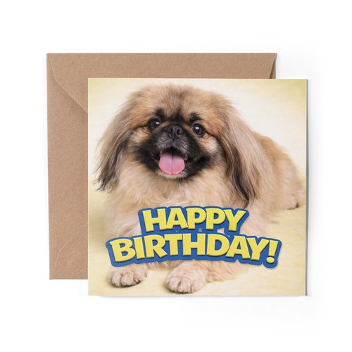 Pekingese greeting card - pekingese,