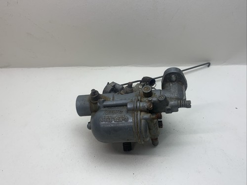 Suffolk colt zenith - type, 13