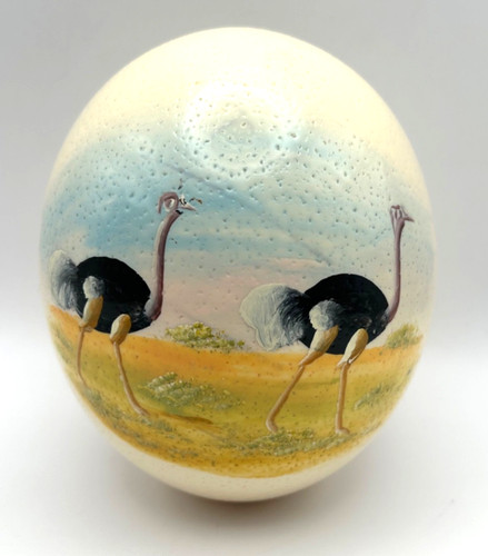 Large hand painted - painted, ostrich