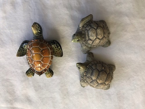 Set turtles and - of, sea