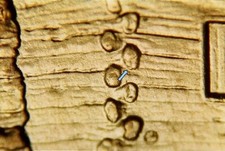 2009 P EC WDDR-086 Lincoln