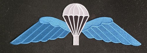 Parachute regiment airborne - regiment,