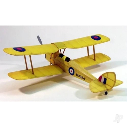 Dumas tiger moth - tiger, wood
