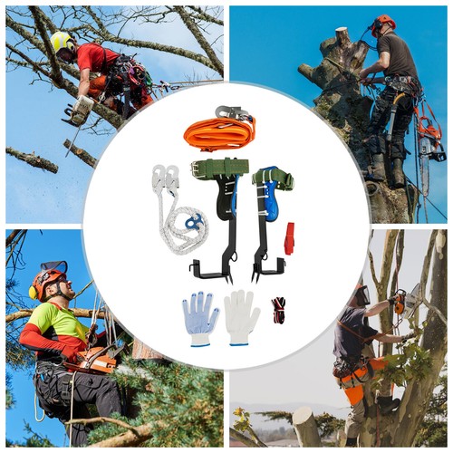 Tree pole climbing - tree/pole,