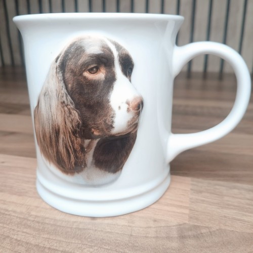 Xpres springer spaniel - xpres,