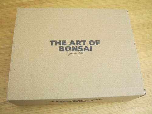 The art bonsai grow kit - art,