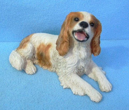 Cavalier king charles dog - cavalier,