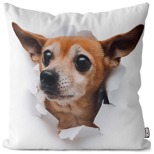Russian toy dog - , case