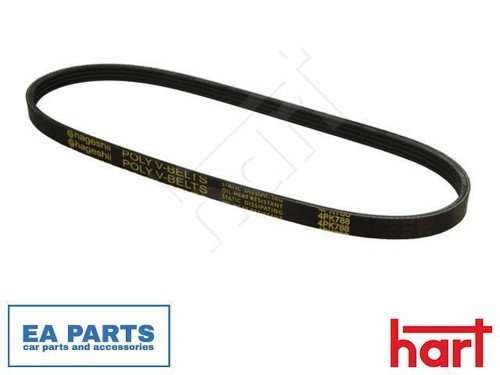Ribbed belt for suzuki - v-ribbed,