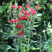 Steel Plant Supports, Spiral
