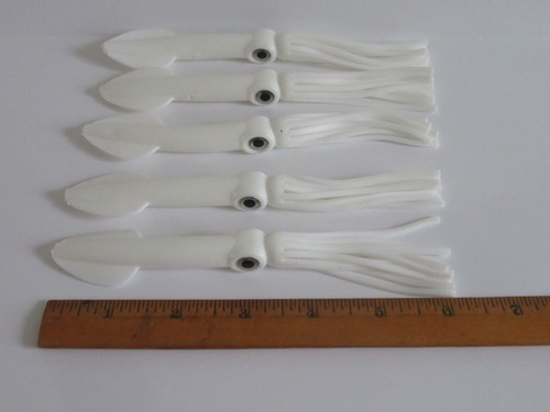 Jumbo solid squid - squid, bodies