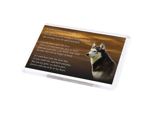 Husky dog fridge magnet pet - dog,