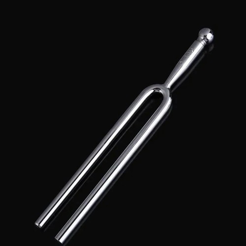 Tuning fork stainless steel - tuning, fork: