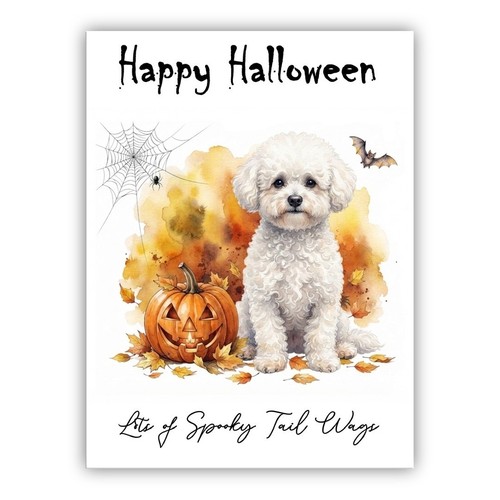 Bichon frise dog halloween - bichon,