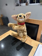 Small Dog that Barks and